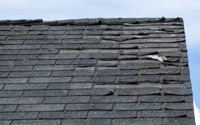 Do I Need a New Roof?