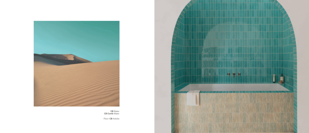 Bathroom  Naturalistic Design Elements