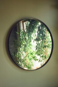 Biophilic Decor mirror